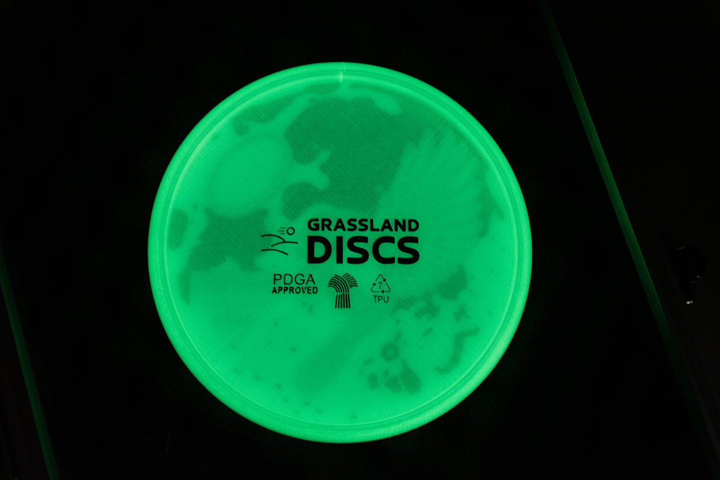 Nocturnal Chickadee - Glow Disk