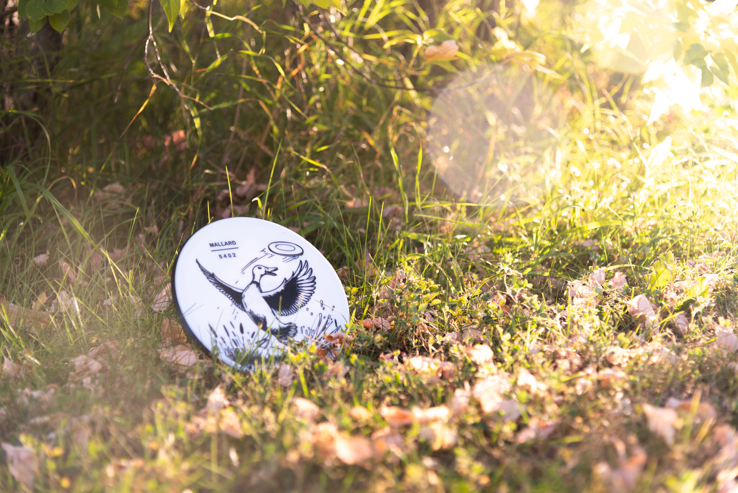 Mallard Disc