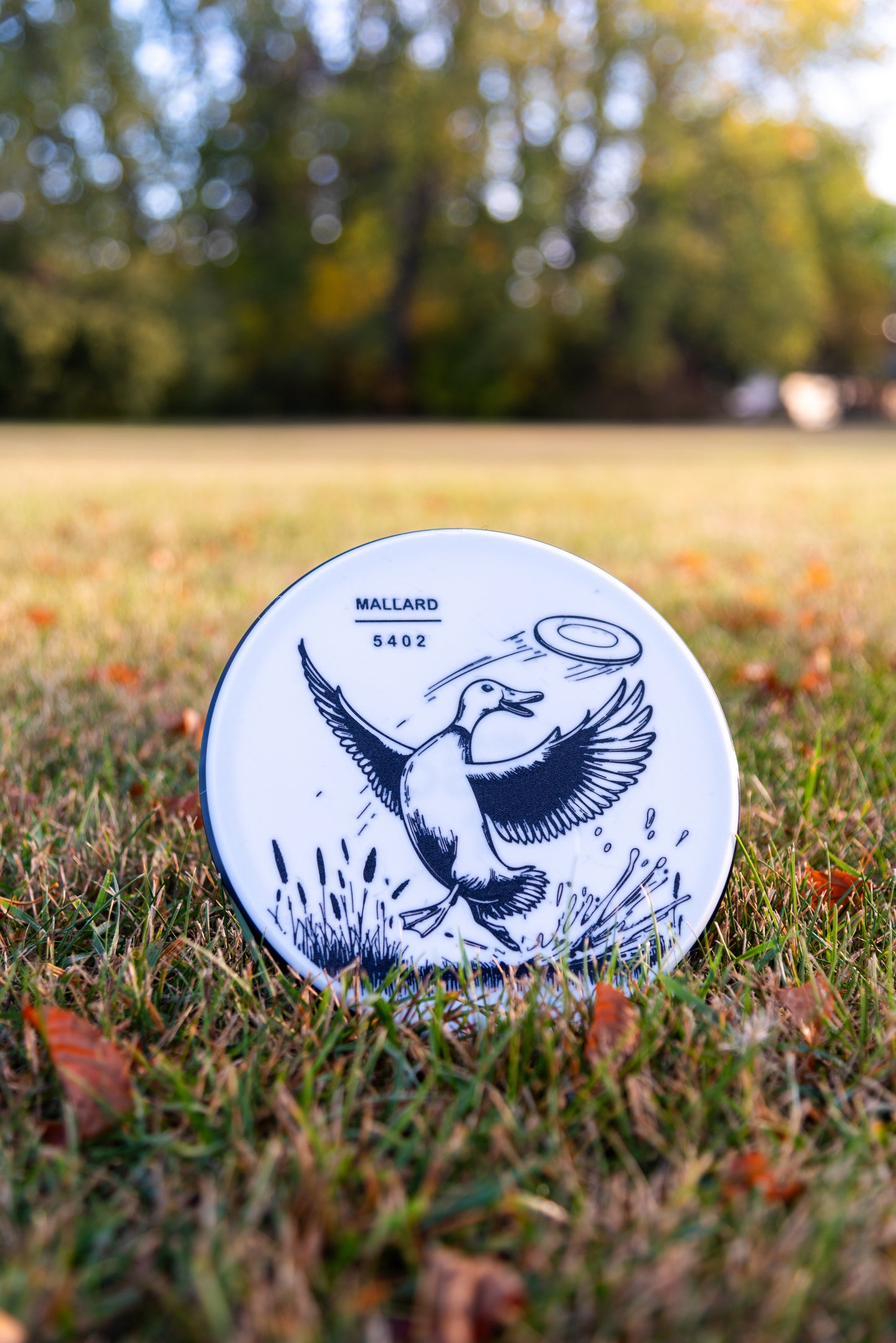 Mallard Disc