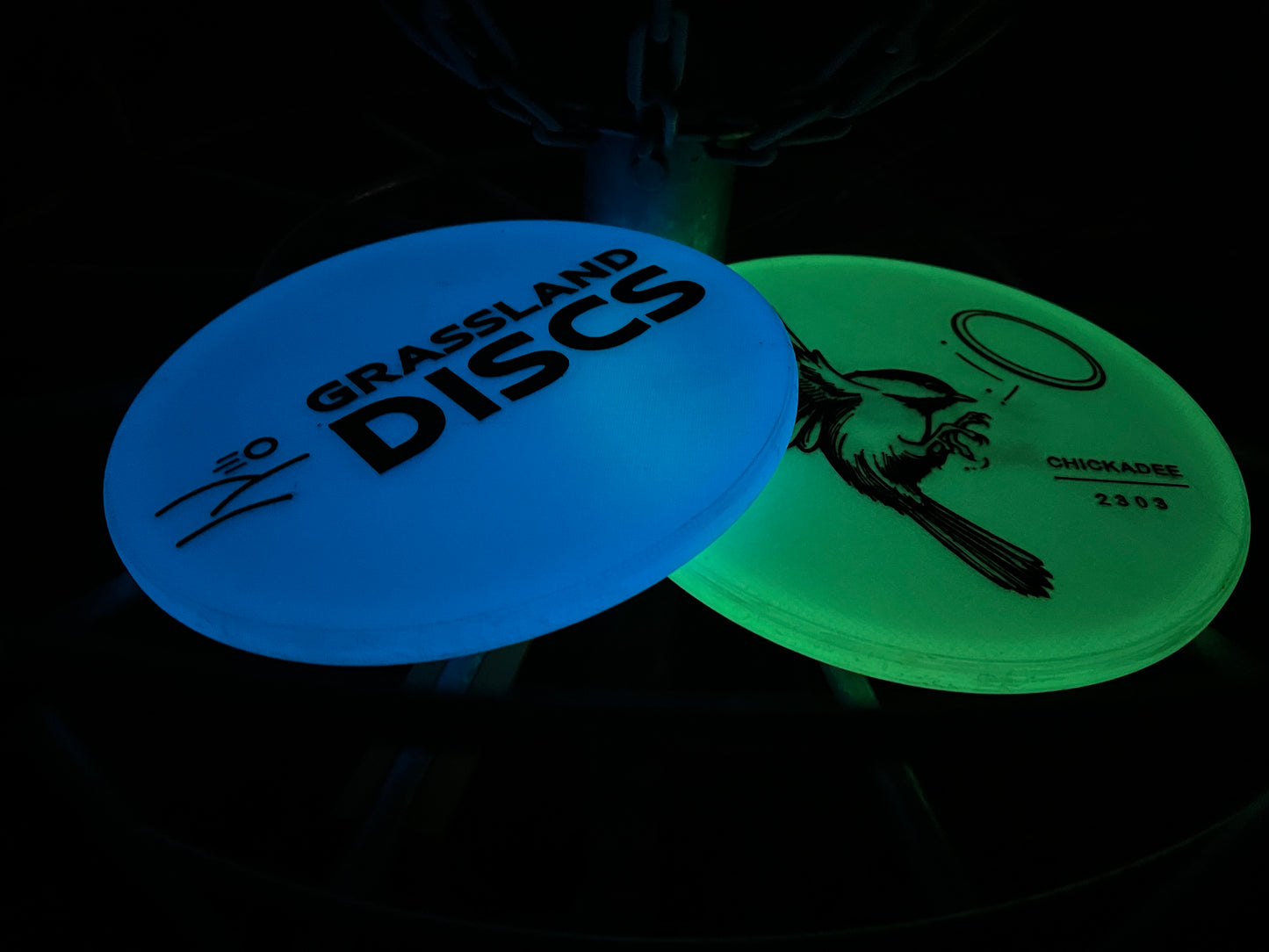 Nocturnal Chickadee - Glow Disk
