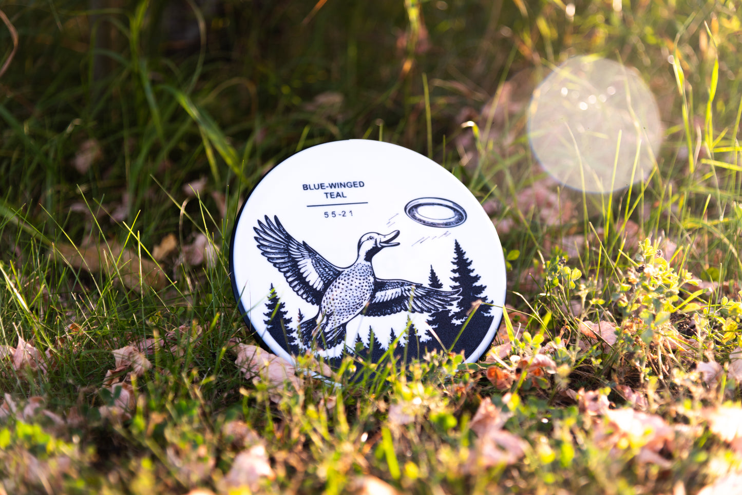 Blue-Winged Teal Disc