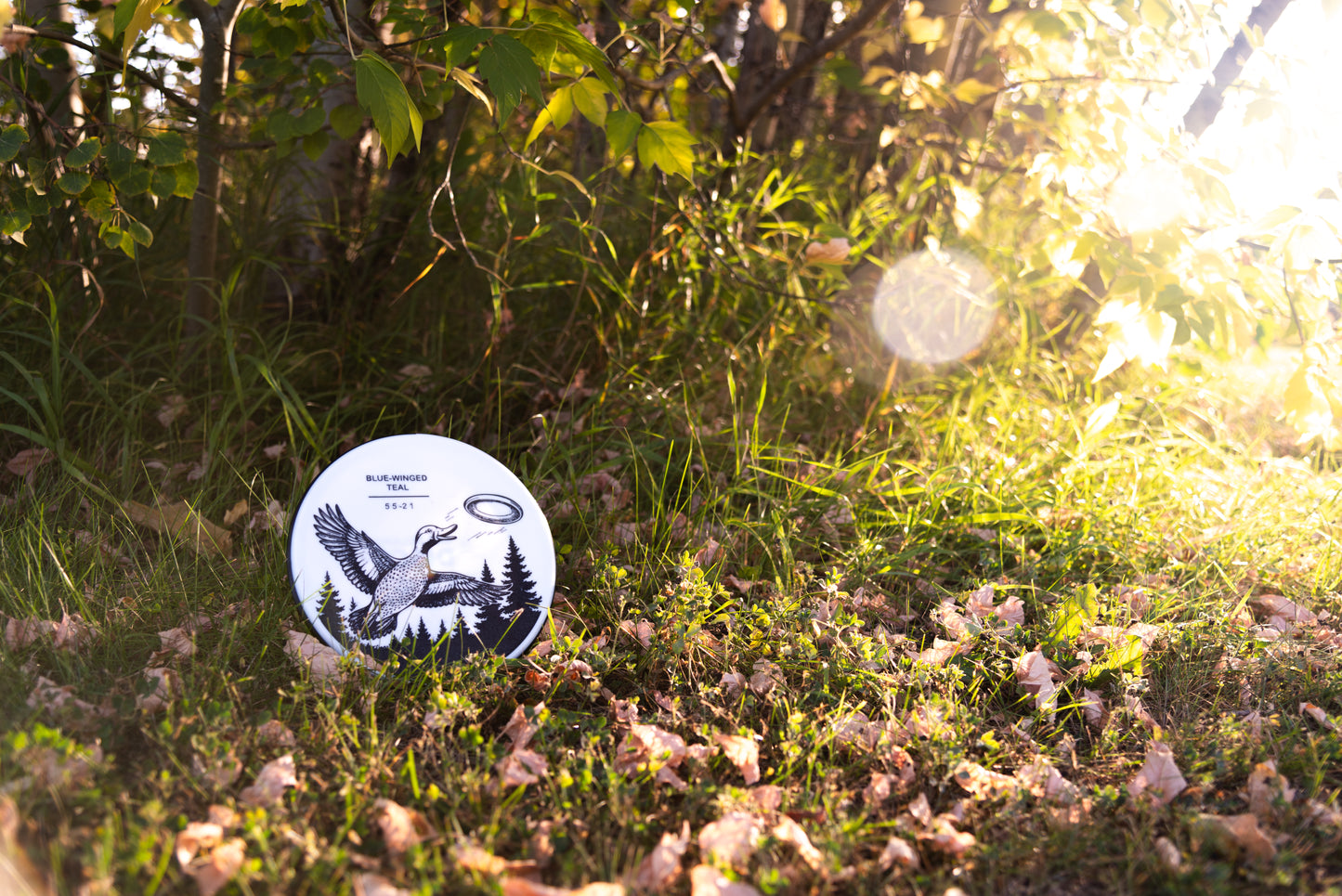 Blue-Winged Teal Disc