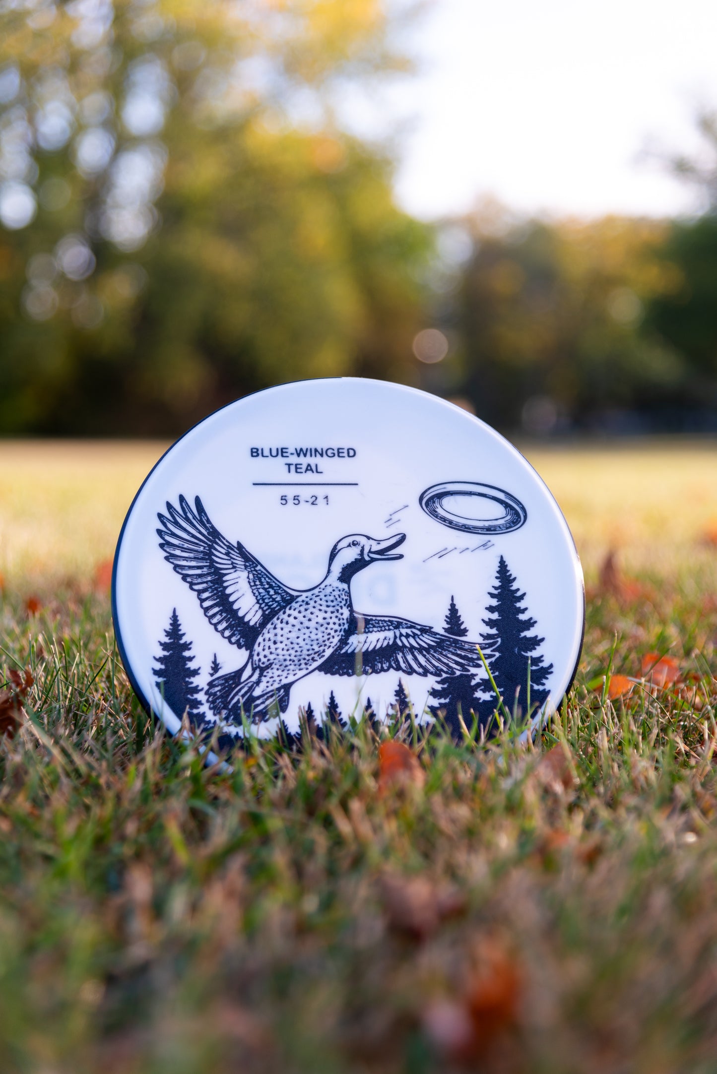 Blue-Winged Teal Disc